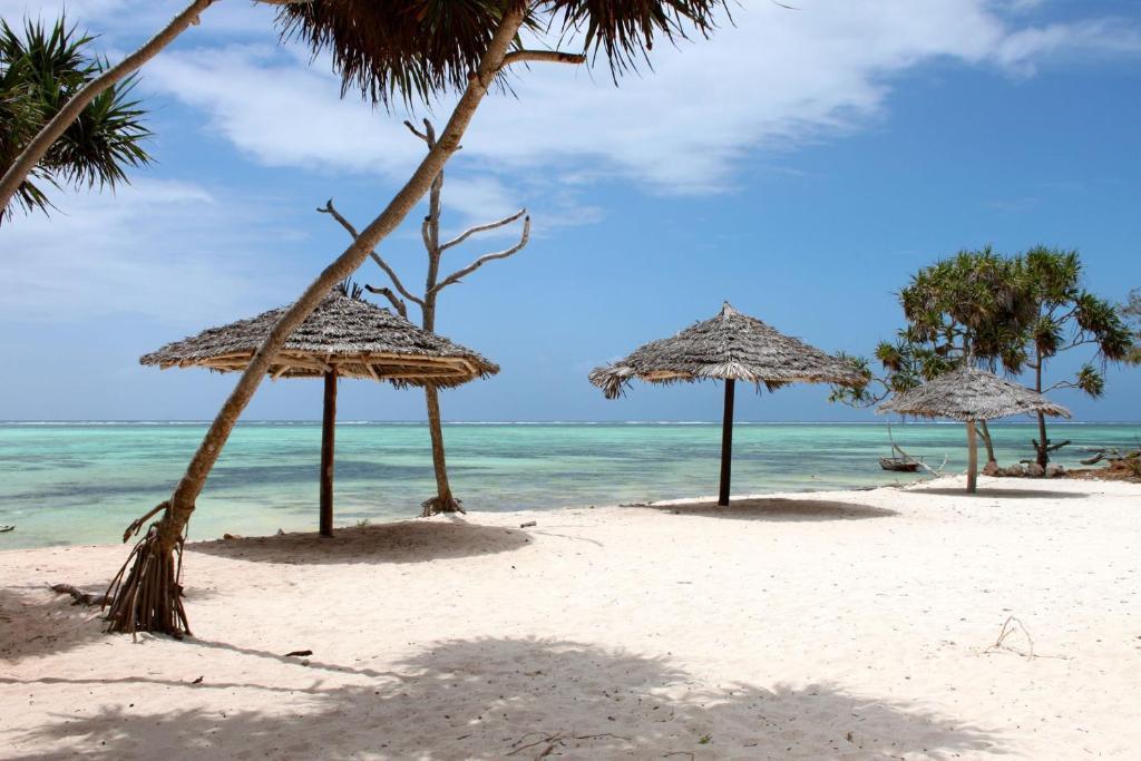 Nest Style Beach Hotel Zanzibar Makunduchi Bagian luar foto